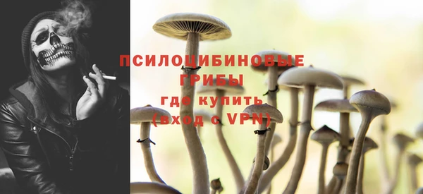 стаф Нефтекумск