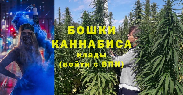 МДПВ Нефтегорск
