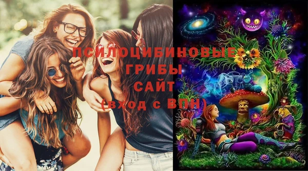 МДПВ Нефтегорск